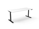 RL Halo Plus Motorized Height Adjustable Desk