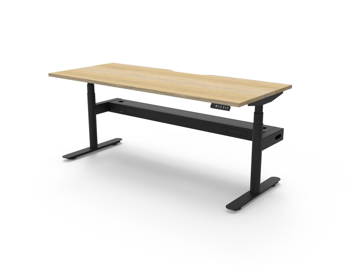 RL Halo Plus Motorized Height Adjustable Desk