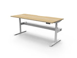 RL Halo Plus Motorized Height Adjustable Desk