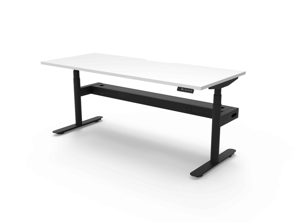 RL Halo Plus Motorized Height Adjustable Desk