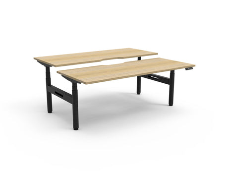 RL Halo Plus Motorized Height Adjustable Back to Back Desk