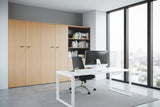 DD Accent 2 Door 4 Shelves Stationery Cupboard