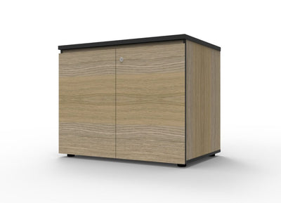 RL Infinity Swing Door Cupboard