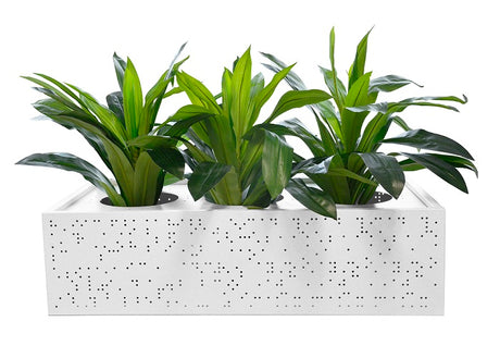 DD Lunar Metal Planter Box