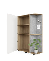 DD Multipurpose Portable Storage with White Sheen Door