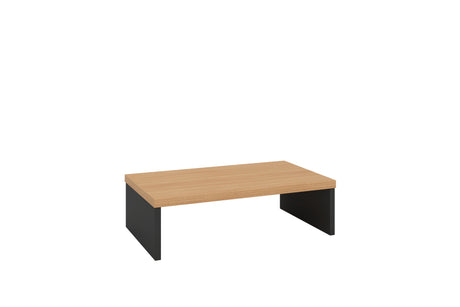 GP OMsystem Office Monitor Riser