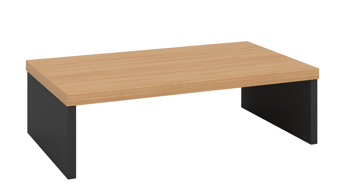 GP OMsystem Office Monitor Riser