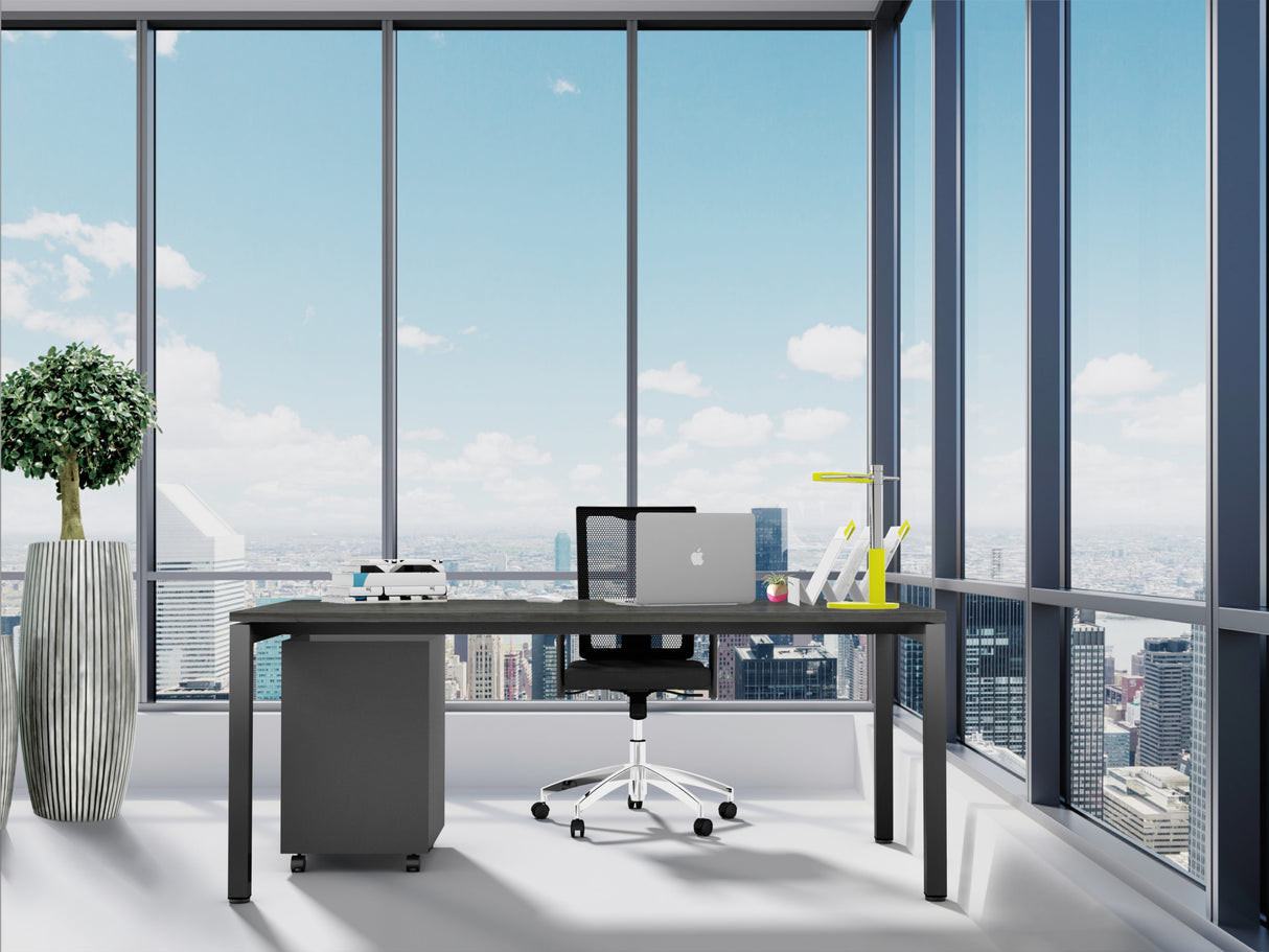 DD Plaza Metal Frame Office Desk