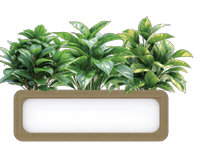 OL Rover Mobile Planter Box