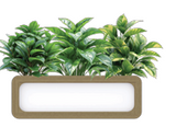 OL Rover Mobile Planter Box