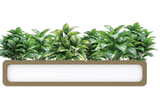 OL Rover Mobile Planter Box