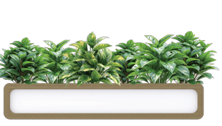OL Rover Mobile Planter Box