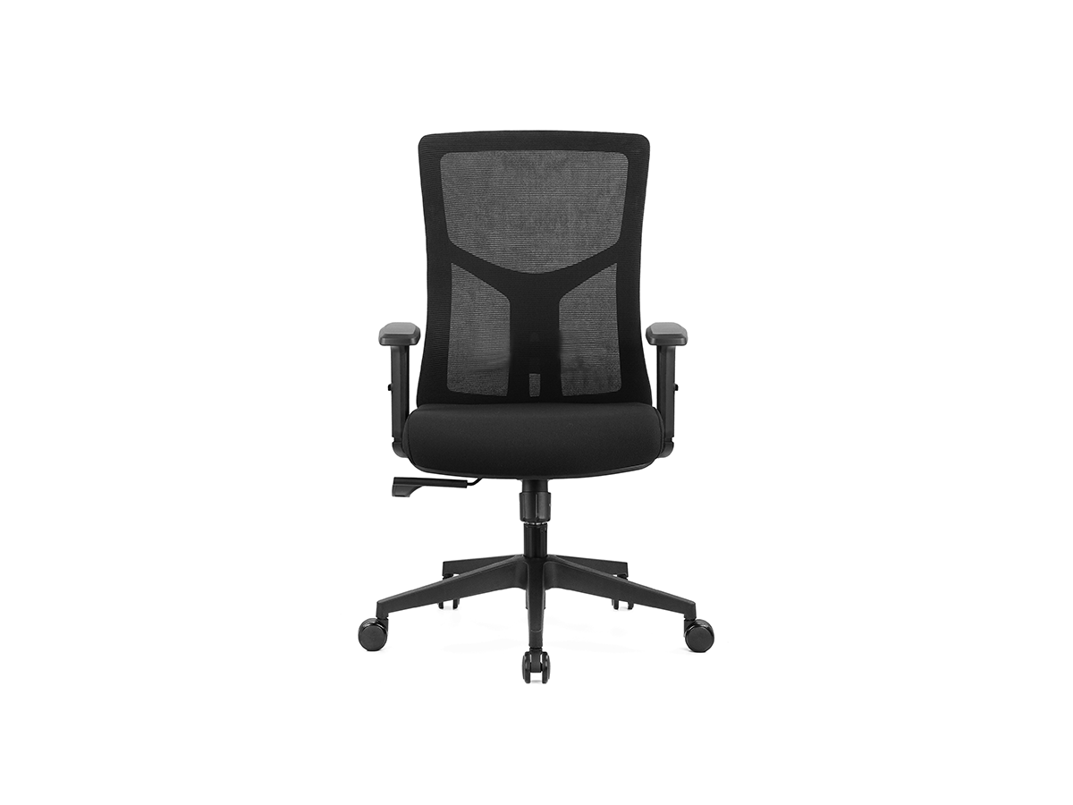 OL Tilly Mesh Back Task Chair