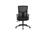 OL Tilly Mesh Back Task Chair