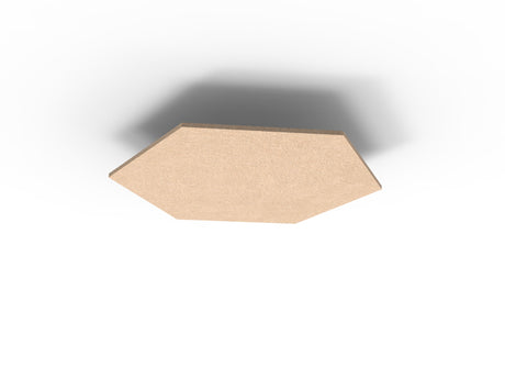 RL Acouline Hive Hexagonal Hanging Ceiling Panels