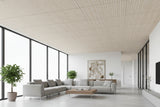 RL Acouline V Groove Ascend Span Rectangular Hanging Ceiling Panels