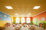 RL Acouline V Groove Glide Span Rectangular Hanging Ceiling Panels