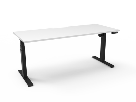 RL Boost Light Motorized Height Adjustable Desk