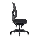 RL Gust Mesh Back Ergonomic Task Chair
