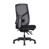 RL Gust Mesh Back Ergonomic Task Chair