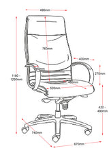 RL CL820 High Back PU Leather Upholstered Executive Chair