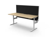 RL Halo Plus Motorized Height Adjustable Desk with SHUSH30 Screen