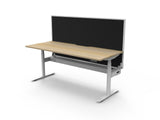 RL Halo Plus Motorized Height Adjustable Desk with SHUSH30 Screen