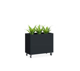 DD Garden Portable Planter Box On Castors