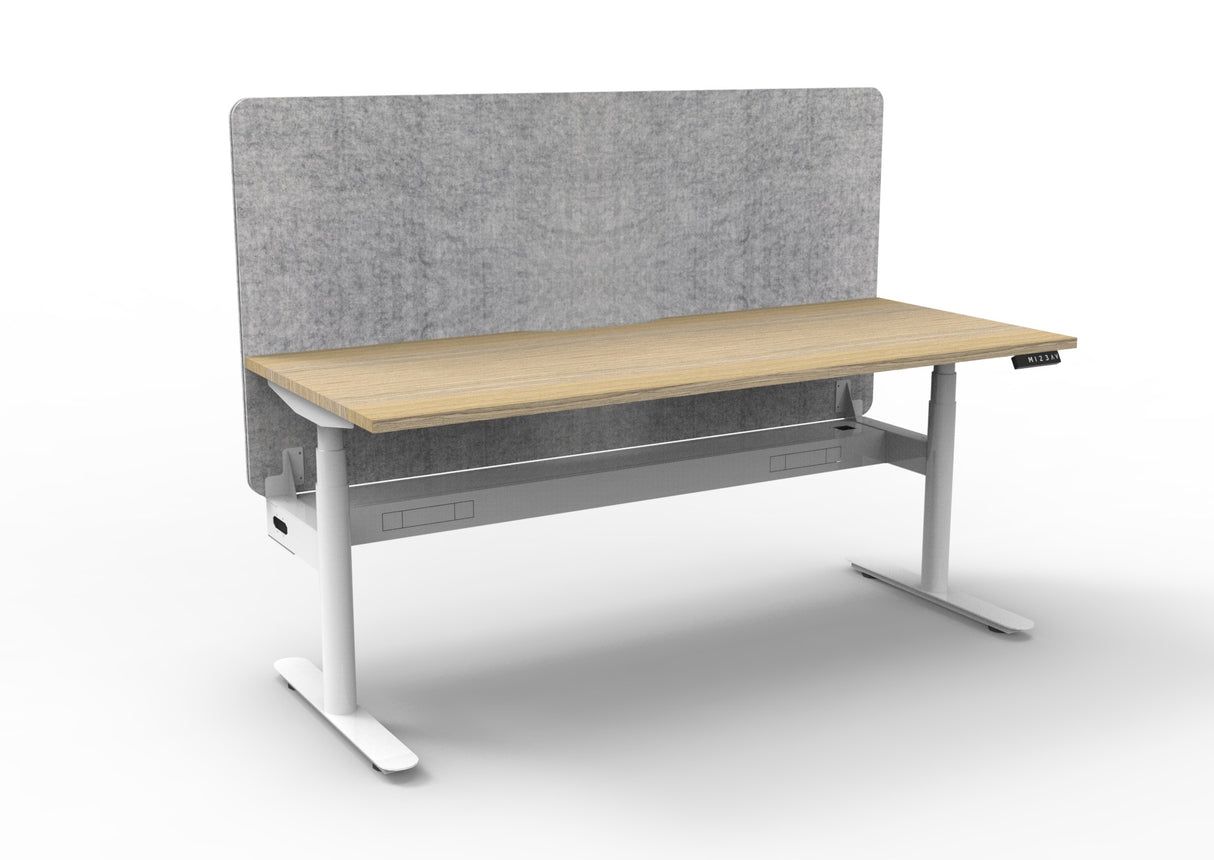 RL Halo Plus Motorized Height Adjustable Desk with Grey Eco Panel Screen
