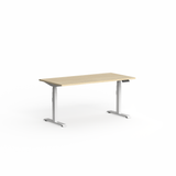 OL Klass Electric Height Adjustable Desk