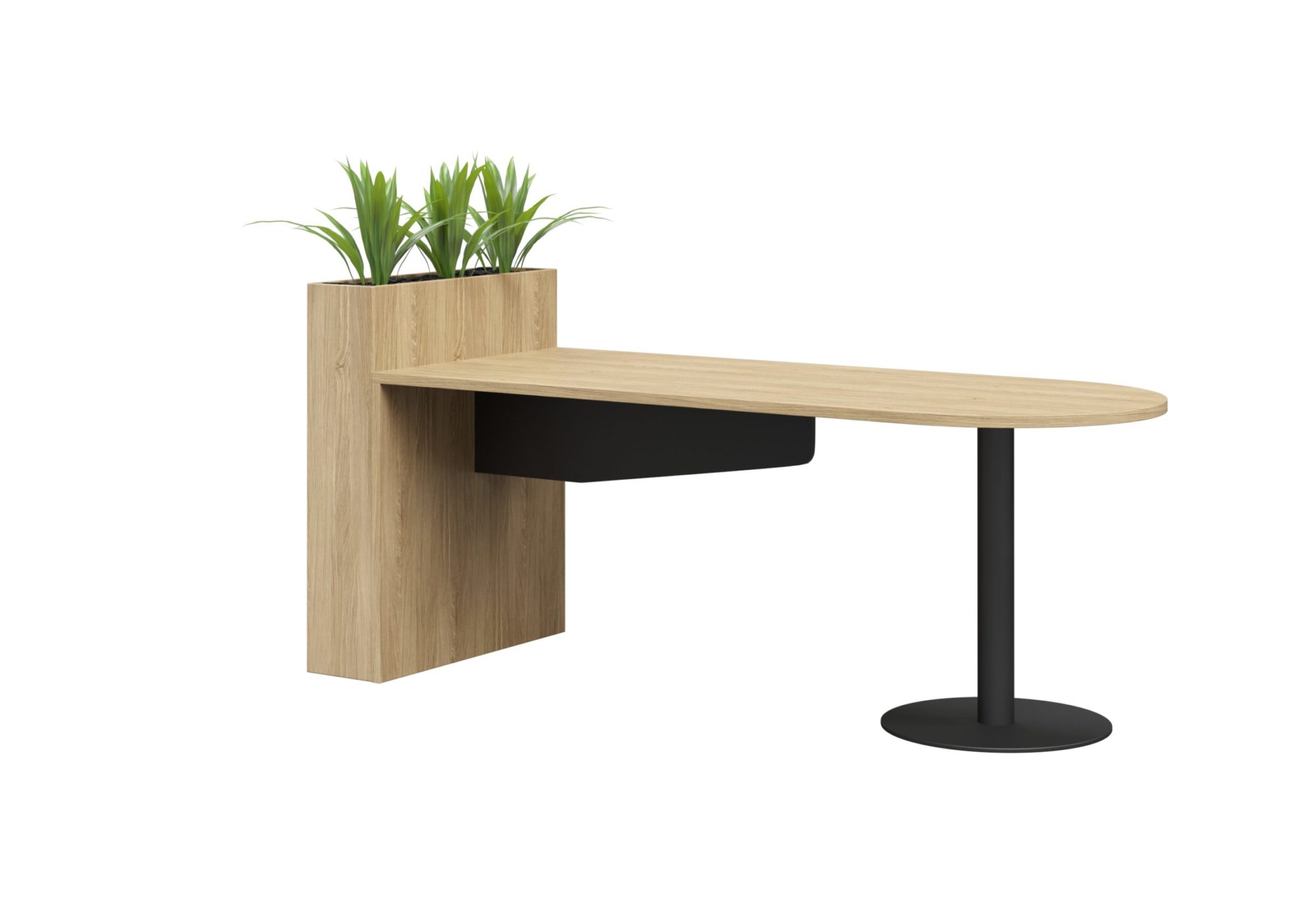 DD Off The Wall Table with Plant